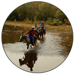 Vacation Packages Image Link